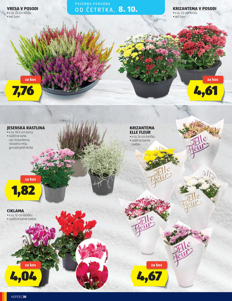 Hofer katalog - Tedenska akcija