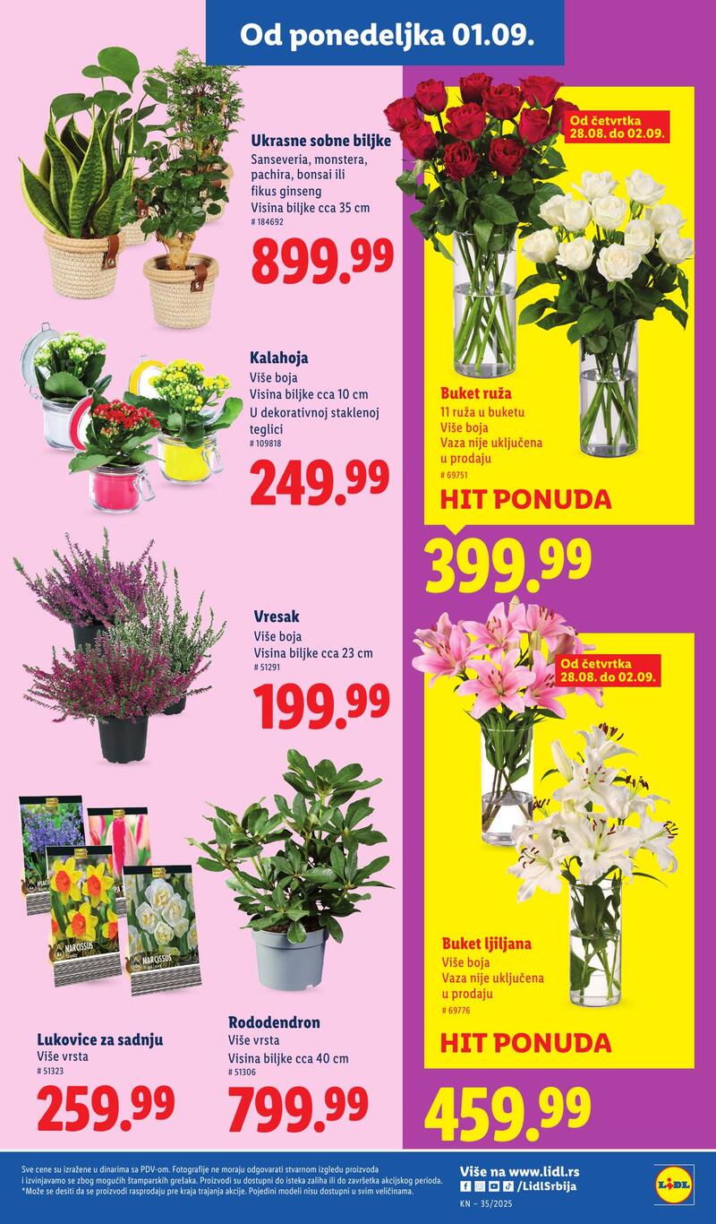 Lidl katalog akcija