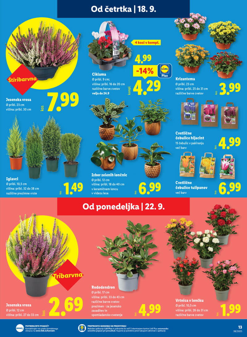 Lidl redni katalog