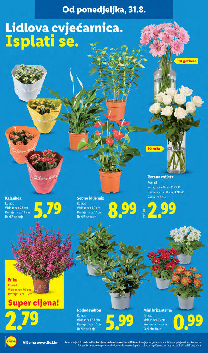 Lidl kataloška akcija