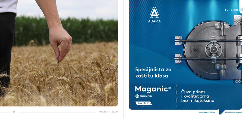 Adama katalog