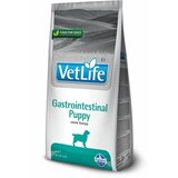 Farmina Vet Life veterinarska dijeta dog GASTROINTESTINAL Puppy 2kg  cene