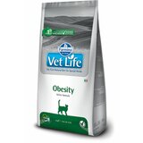 Farmina vet life veterinarska dijeta za mačke obesity 2kg  cene