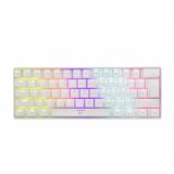 White Shark gejmerska tastatura SHINOBI GK-2022 (Bela)  Cene