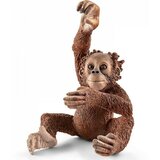 Schleich igračka Orangutan mladunce 14776  Cene