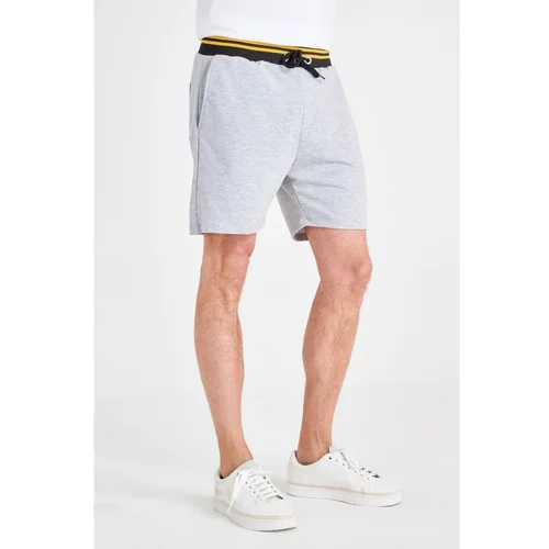 Trendyol Grey Men's Regular Fit Shorts &amp; Bermuda