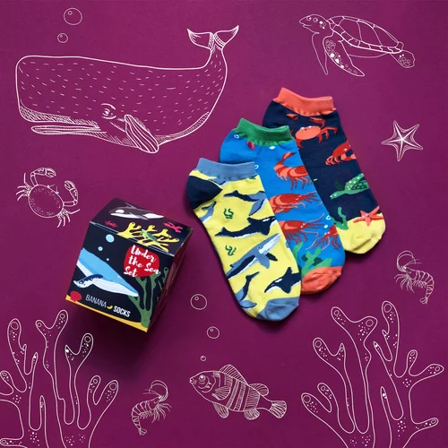 Banana Socks Unisex's Socks Set Under The Sea