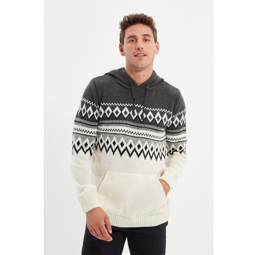 Trendyol Men's sweater Jacquard Cene