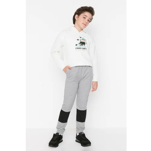 Trendyol Gray Stripe Detailed Boy Knitted Sweatpants