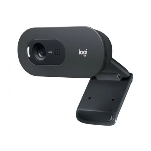 Logitech C505 HD spletna kamera
